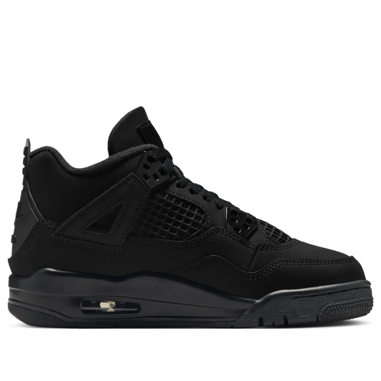 FV5029 010 Air Jordan 4 Retro Black Cat (2025)