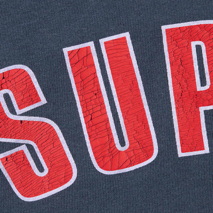 Supreme SS24 Tshirt Cracked Arc