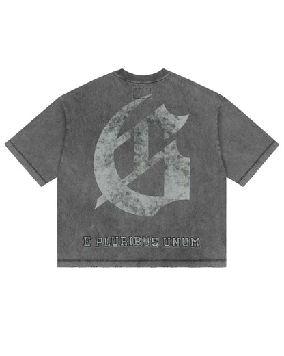 Godspeed Collegiate Tee Grey Wash