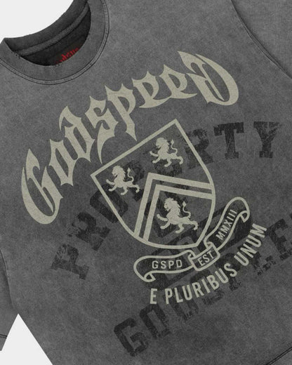 Godspeed Collegiate Tee Grey Wash